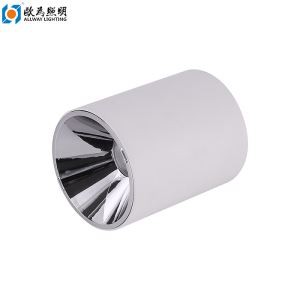 Đèn chiếu sáng gắn trên bề mặt 10W