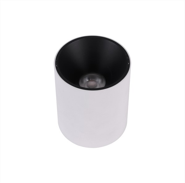 Phụ kiện đèn trần 12W