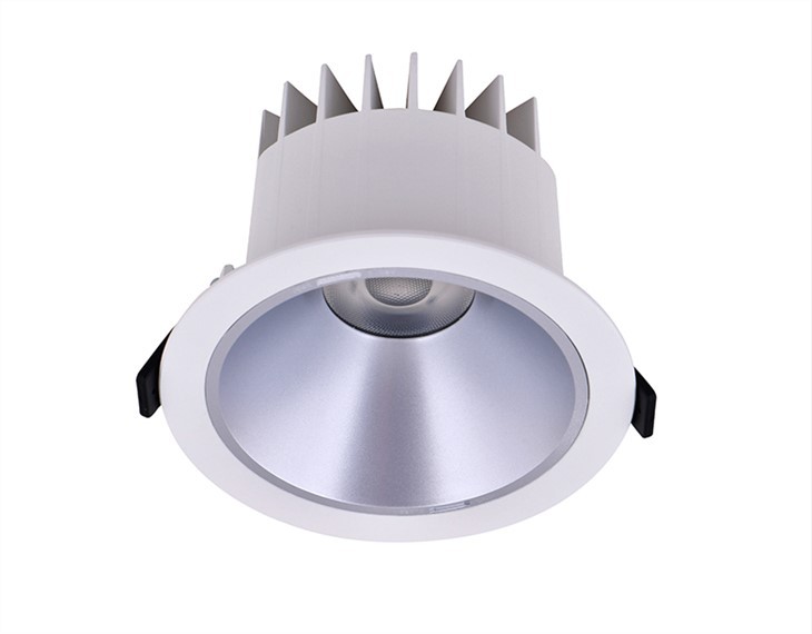 Waterproof Downlight